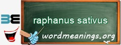 WordMeaning blackboard for raphanus sativus
